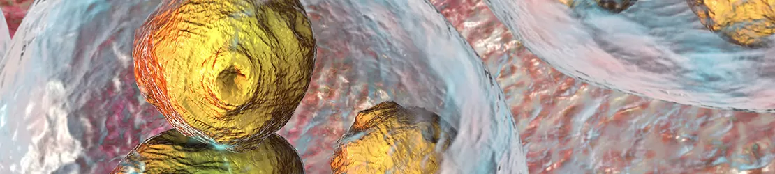 chist hidatic cauzat de Echinococcus granulosus