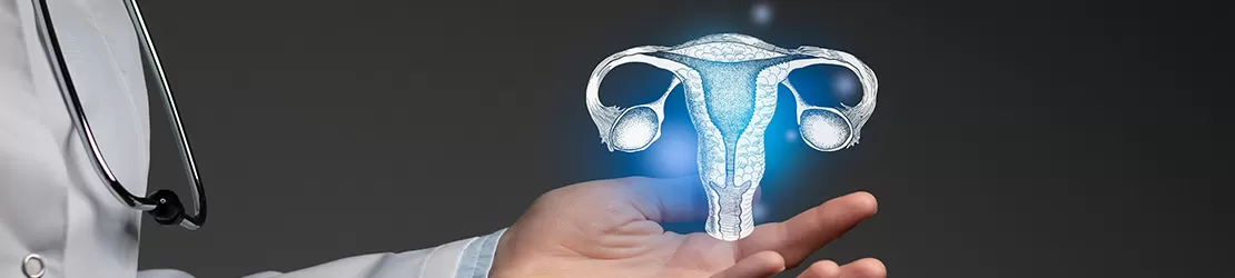 Bartholinita si sistemul reproducator feminin