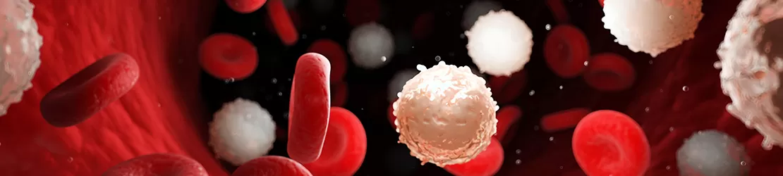 globule albe in cazul leucopeniei