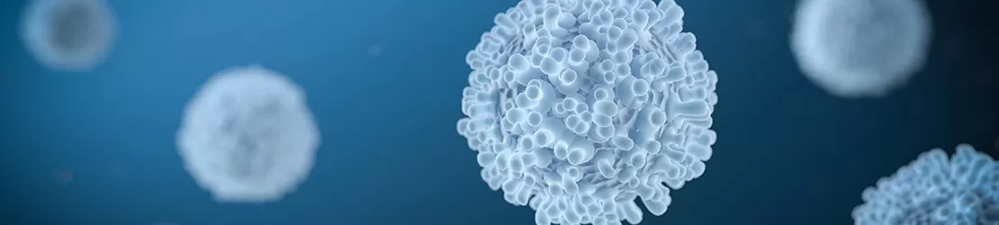 leucocite in leucopenie