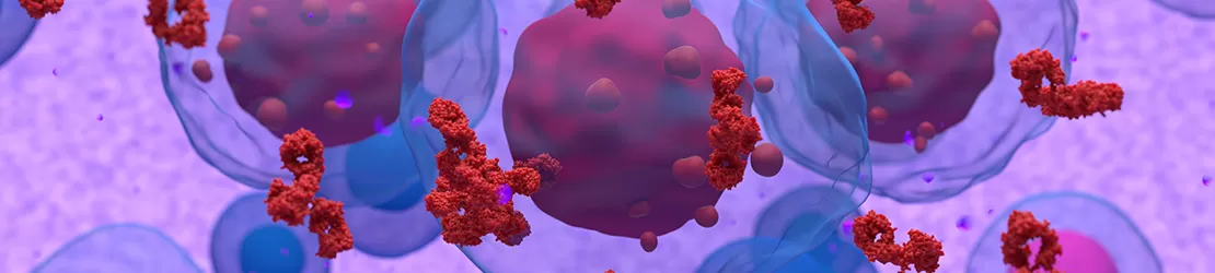 Celule cu mielom multiplu sub microscop