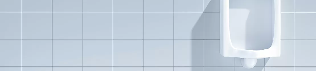 informatii despre anurie sau lipsa urinarii