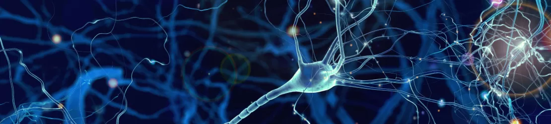 Conexiuni neuronale cu impact in nevroza