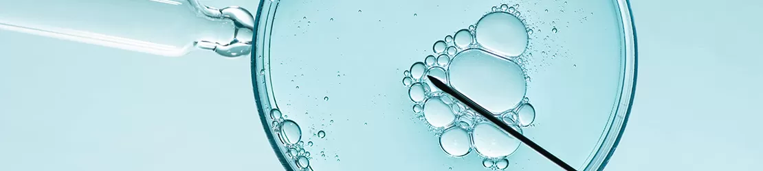 Procedura de fertilizare in vitro si inseminare artificiala