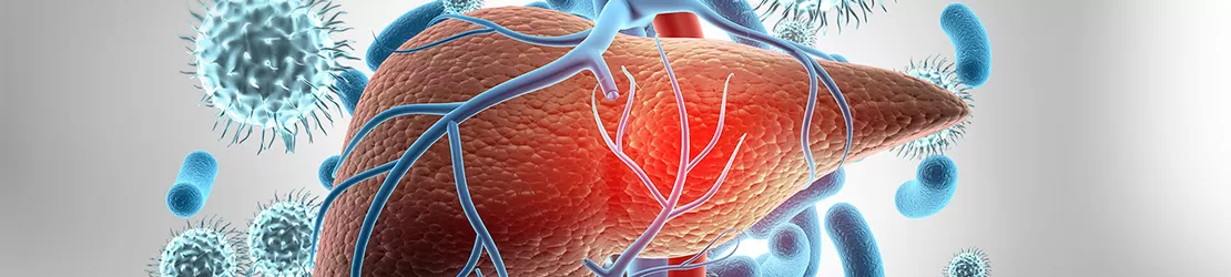 ilustrare 3D a anatomiei ficatului uman afectat de virusul hepatic