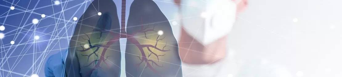 pneumolog prezinta virtual plamani