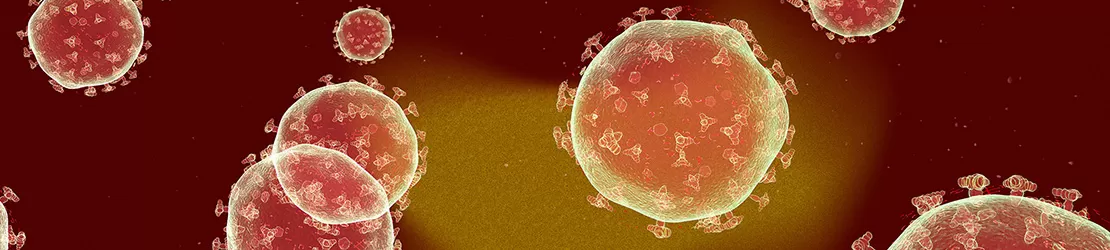 reprezentare grafica pentru bacterii si virusi
