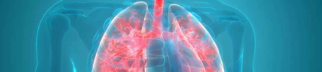 Reprezentare grafica pentru sistemul respirator uman