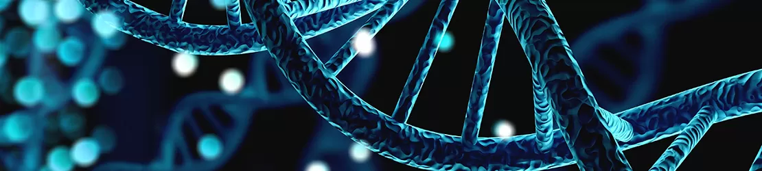 Structura ADN-ului uman