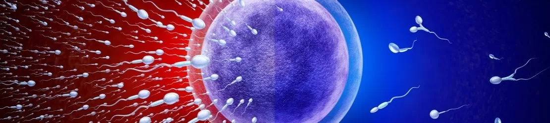 reprezentare grafica pentru spermatozoizi in cazul infertilitatii masculine