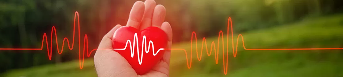 Mana tine o inima pe fondul unei linii EKG