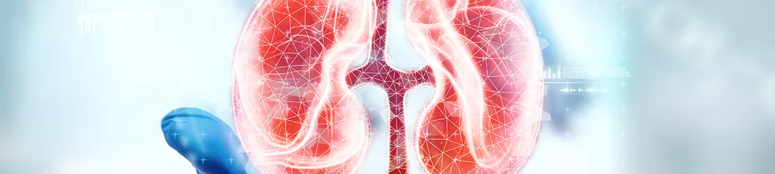 Medic sustine imaginea holografica a unui rinichi