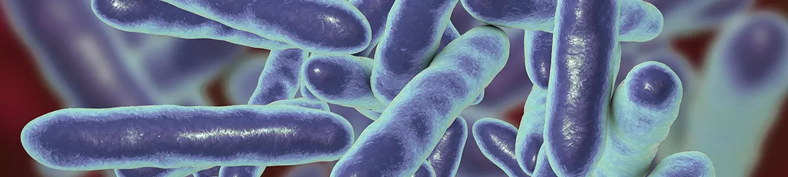 Reprezentare grafica pentru bacteria Tropheryma