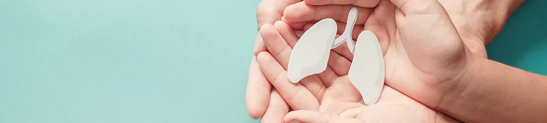 Reprezentare grafica pentru plamanii umani