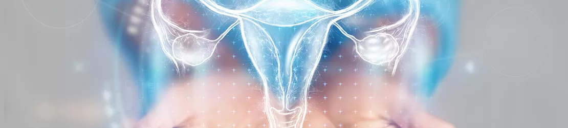 Reprezentare holografica pentru sistemul reproducator feminin