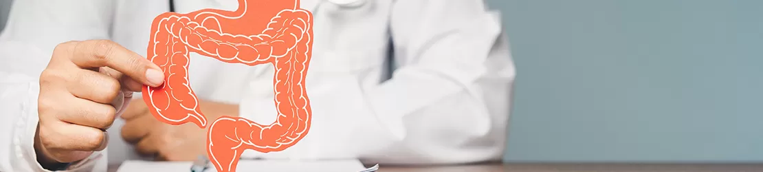 Personal medical aratand spre un model al intestinului