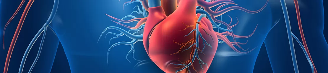 Reprezentare 3D pentru inima
