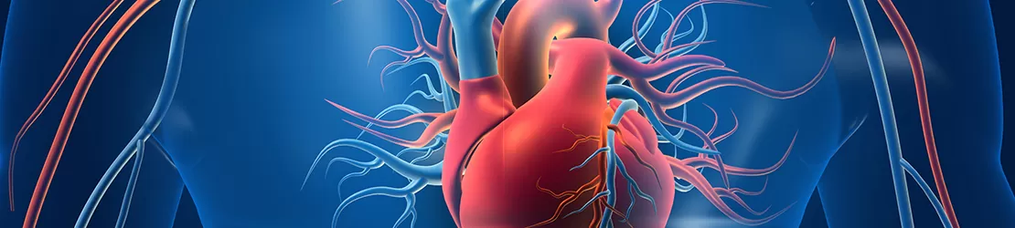 Reprezentare 3D pentru vasele de sange