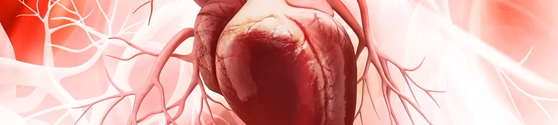 Reprezentare grafica pentru anatomia inimii