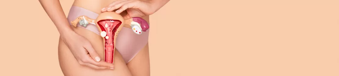 Femeie care tina in maini un model anatomic al sistemului reproducator feminin