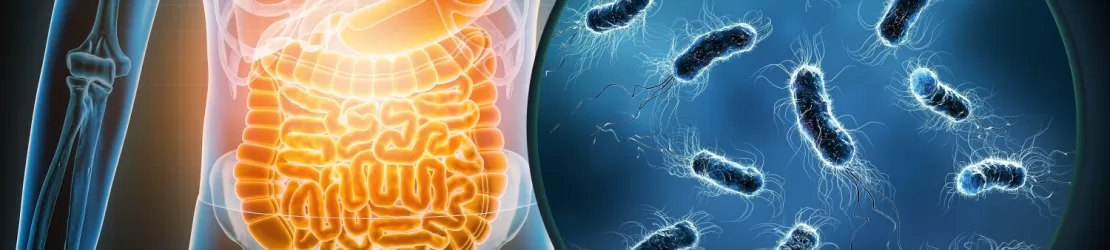 Reprezentare 3D pentru infectia bacteriana a tractului gastrointestinal