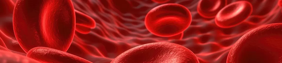 Reprezentare grafica 3D a globulelor rosii intr-o vena, ilustrand circulatia sangelui