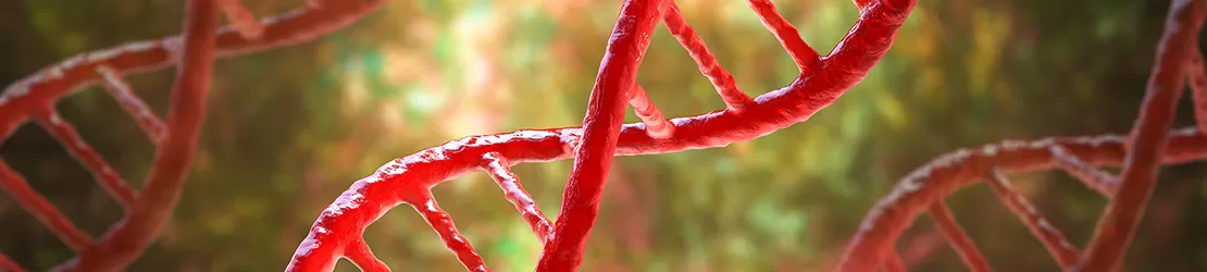 Reprezentare 3D pentru molecule ADN