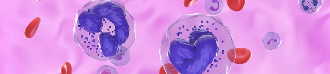 Reprezentare 3D pentru celulele din vasele de sange in cazul leucemiei mieloide cronice