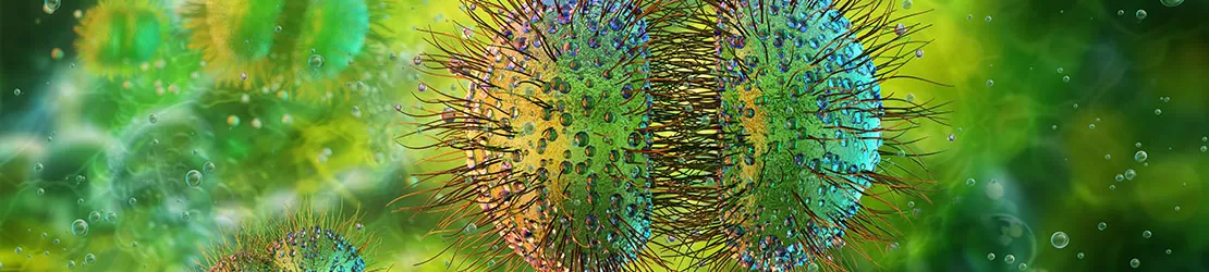 Ilustrare 3D a bacteriei Neisseria meningitidis, cunoscuta si sub denumirea de meningococ, microorganism patogen responsabil pentru meningita