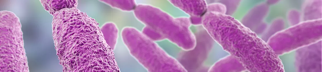 Ilustratie 3D a bacteriei Klebsiella, gram-negativa, in forma de bastonas