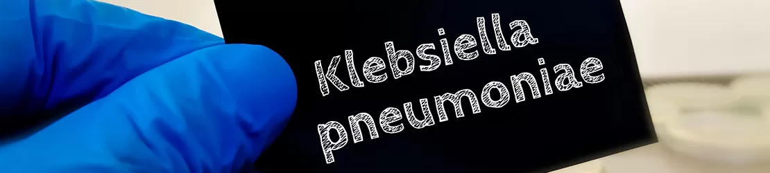 Medic tinand cartonas pe care scrie numele bacteriei Klebsiella Pneumoniae