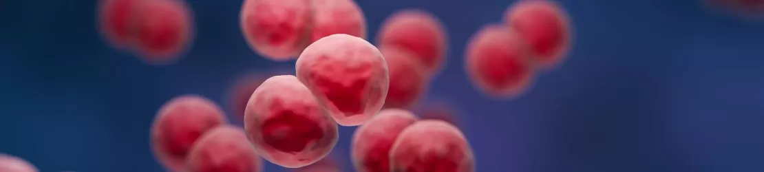 Ilustratie 3d detaliata a bacteriei Streptococcus pneumoniae, evidentiind forma globulara si structura in lanturi