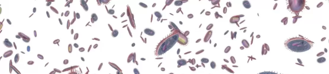 Ilustratie a bacteriilor probiotice ale microbiomului pe fundal alb