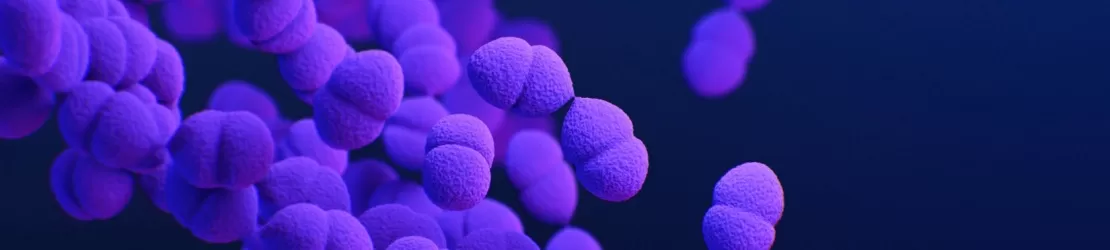 ilustratie medicala a tulpinii rezistente la medicamente de Streptococcus pneumoniae