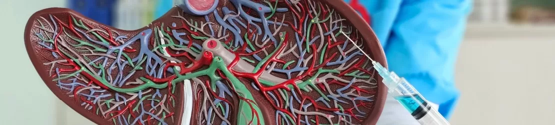 Model anatomic al ficatului prezentat cu o seringa de catre un specialist medical