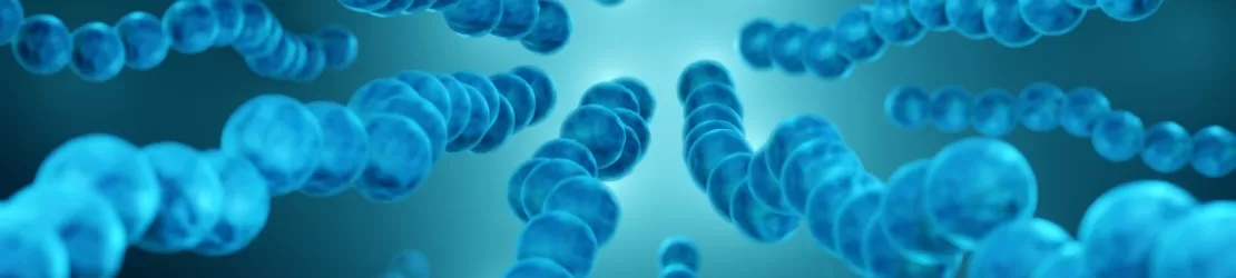 Reprezentare grafica a bacteriei Streptococcus pneumoniae, cauzatoare a pneumoniei si afectiunilor respiratorii