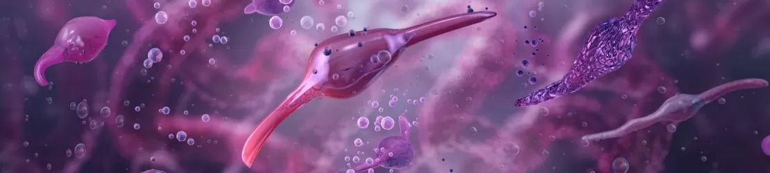 Bacteria Mycoplasma pneumoniae infectand tesutul pulmonar ilustrat medical