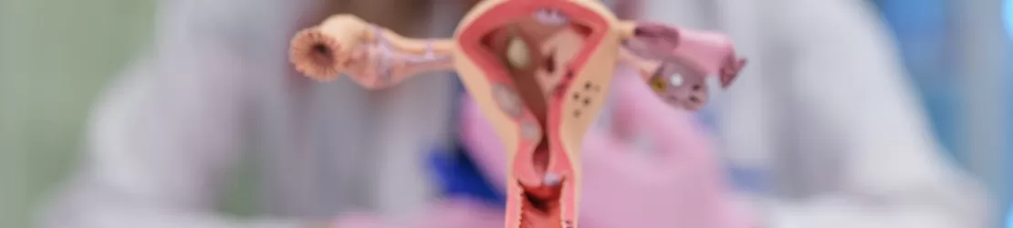 Femeie medic in cabinetul medical, la birou, cu un model al sistemului reproducator feminin pe birou si cuburi de lemn cu litere care formeaza cuvantul „ureaplasma”, ca simbol al importantei diagnosticarii infectiei cu aceasta bacterie