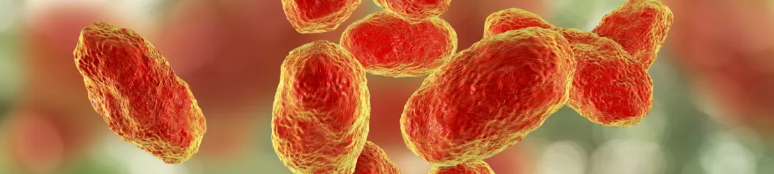 Ilustratie 3D a bacteriei Haemophilus influenzae, gram-negativa