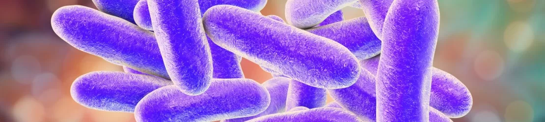 Ilustratie 3D a bacteriei Legionella pneumophila, agentul cauzal al bolii Legionnaires