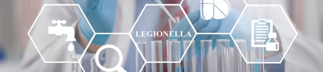Test medical Legionella, concept de bacterii in organismul uman