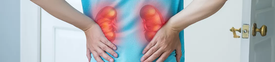 Durere de spate asociata cu pietre la rinichi si inflamatie, simbolizand simptome frecvente ale afectiunilor renale
