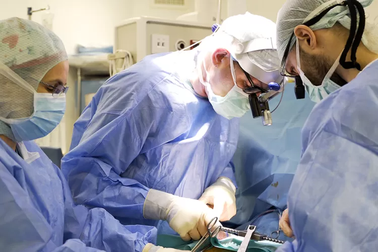 Spitalul Nord Pipera