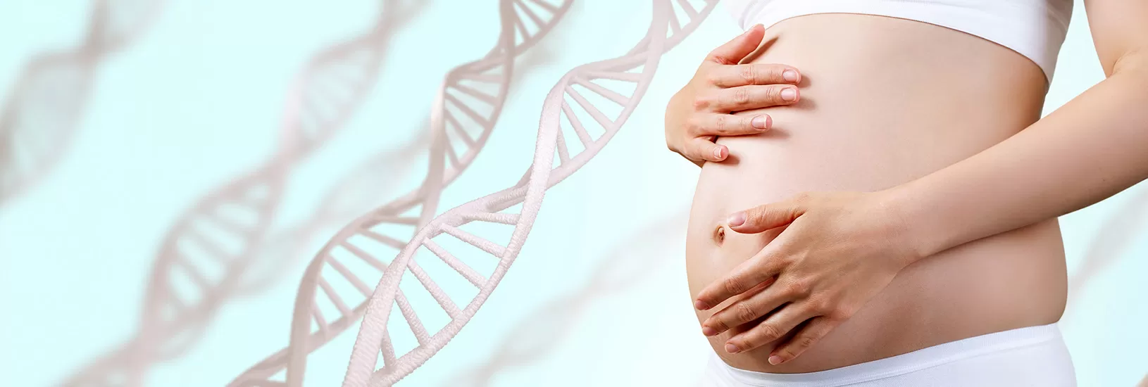 Articole din categoria Stem cells