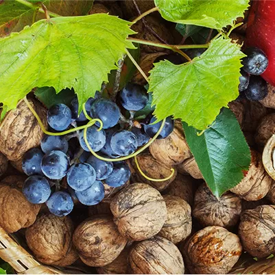 strugurii, aliment indicat pentru a usura digestia